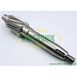 2PC700 Pumpenwelle mit Blanchard-Getriebe, säurebeständig