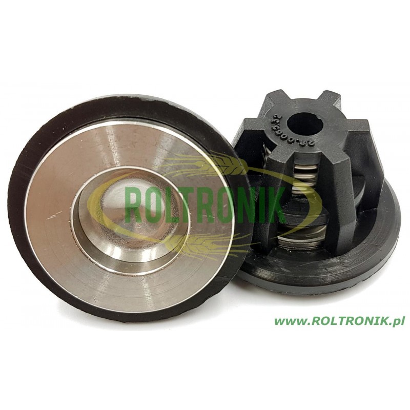 Bertolini Pumpenrückschlagventil 289809973 BERTOLINI Poly 2260