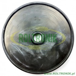 2Annovi Reverberi 250 BP Pumpenmembran