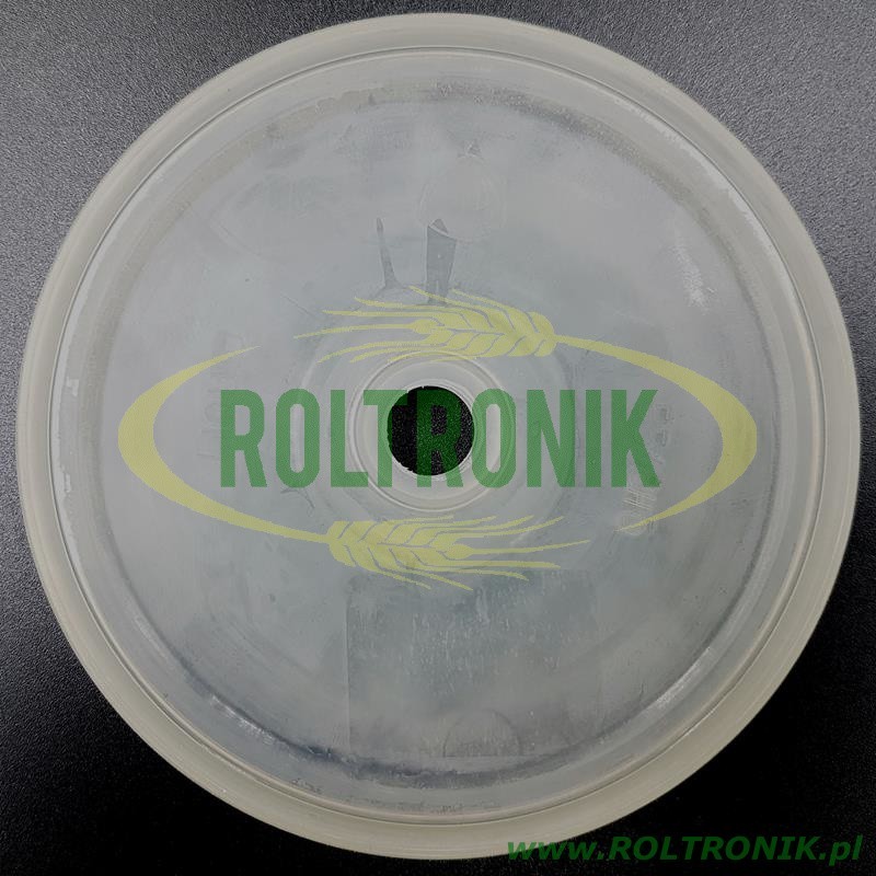 Silikonmembran der Annovi Reverberi 250 BP Pumpe, 550085