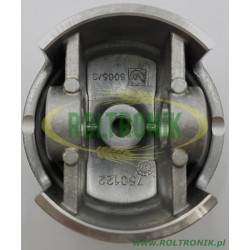 2Kolben fi 80 der Annovi Reverberi 250 BP Pumpe