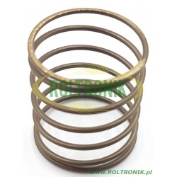 AR-Ventilfeder, 750650, Annovi Reverberi