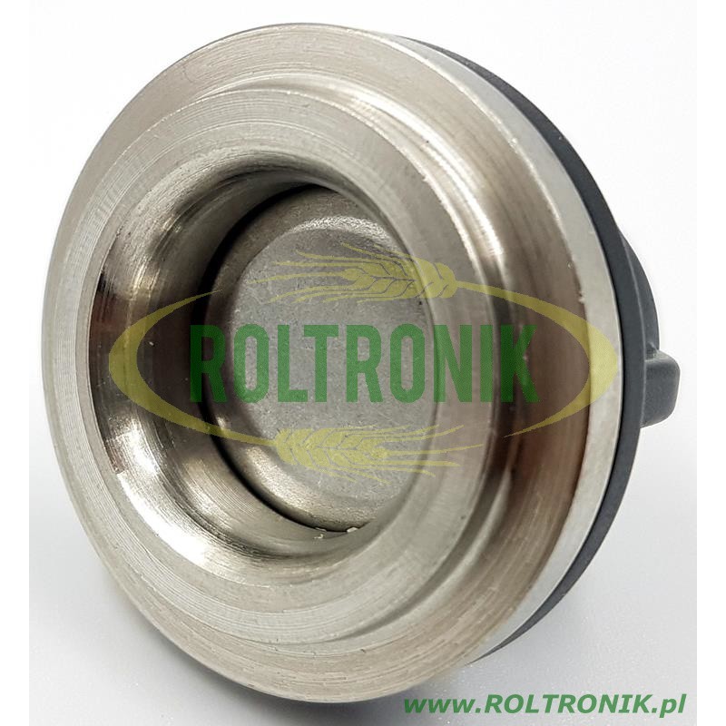 Annovi Reverberi 250 BP Pumpenventil, 759051