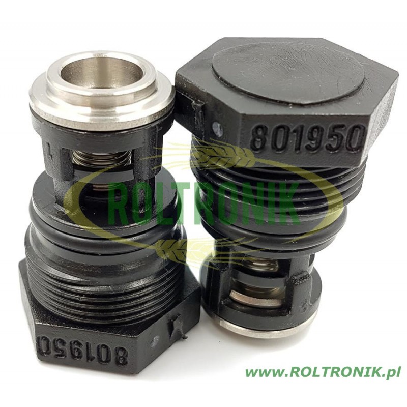 Complete valve  AR203/AR252 809060 Annovi Reverberi