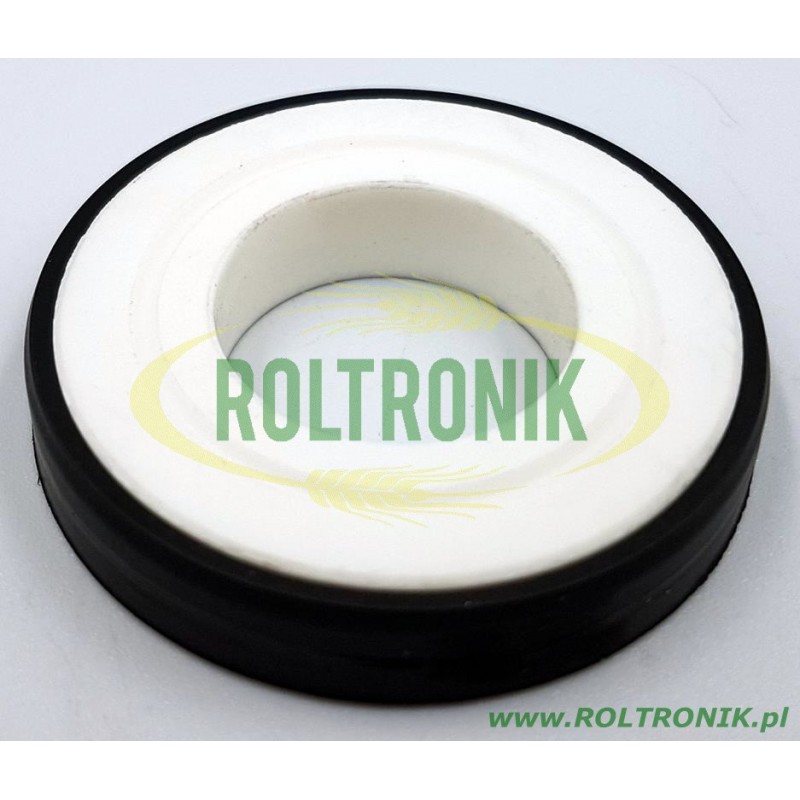 Keramikdichtung für Hardi Evrard-Pumpe, IN50AA7050