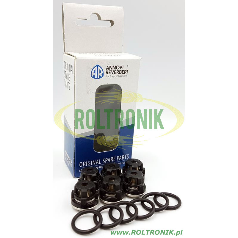 Annovi Reverberi Pumpenventil-Kit – KIT1864