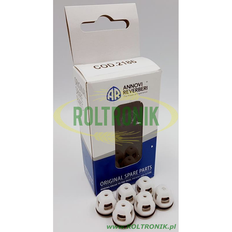Annovi Reverberi Pumpenventil-Kit – KIT2186