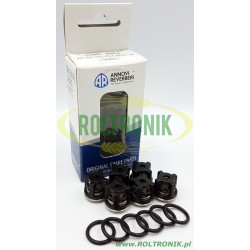 Annovi Reverberi Pumpenventil-Kit – KIT2864