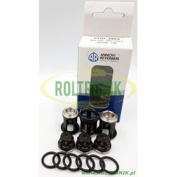 Annovi Reverberi Pumpenventil-Kit – KIT2869