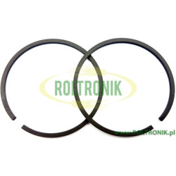 BP 280K Comet Pumpenkolbenring, 00200009