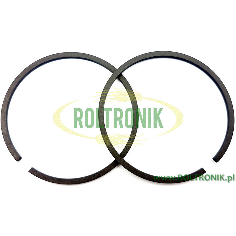 BP 280K Comet Pumpenkolbenring, 00200009