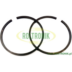 Kolbenring der BPS 260 Comet-Pumpe, 00200014