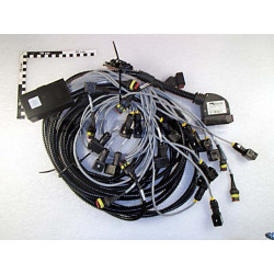 CABLEB. UG VORWAHLKLAPPUNG NL126, Amazone