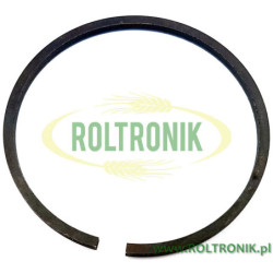 AR503 Annovi Reverberi Pumpenkolbenring, 160230