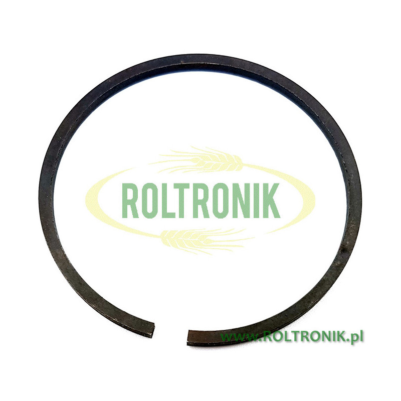 AR503 Annovi Reverberi Pumpenkolbenring, 160230