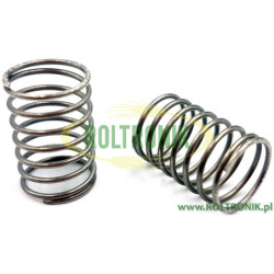 Comet APS 96, APS 121 Pumpenventilfeder, 18020015