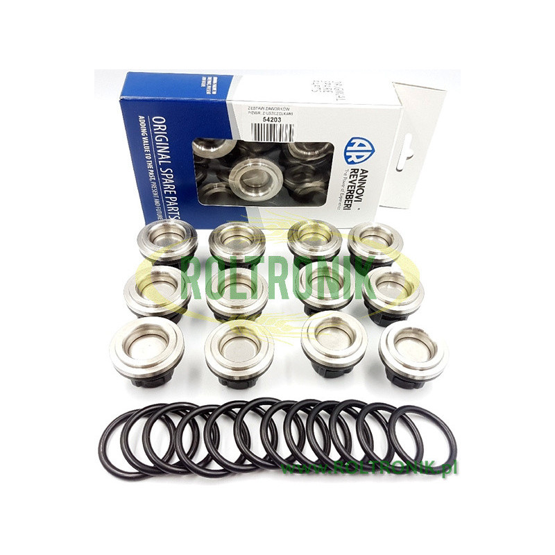 AR-Pumpenventilsatz mit Dichtungen, 2114, Annovi Reverberi