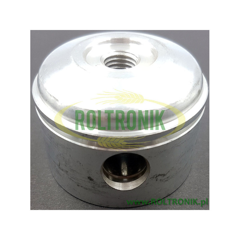 Pumpenkolben Ø58 Comet APS 51-96, 24090067