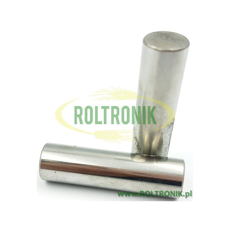 Kolbenbolzen Ø15x53 für Comet BP Pumpe 30110001 Comet