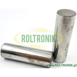 Comet APS 101 - APS 121 Pumpenkolbenbolzen, 30110003