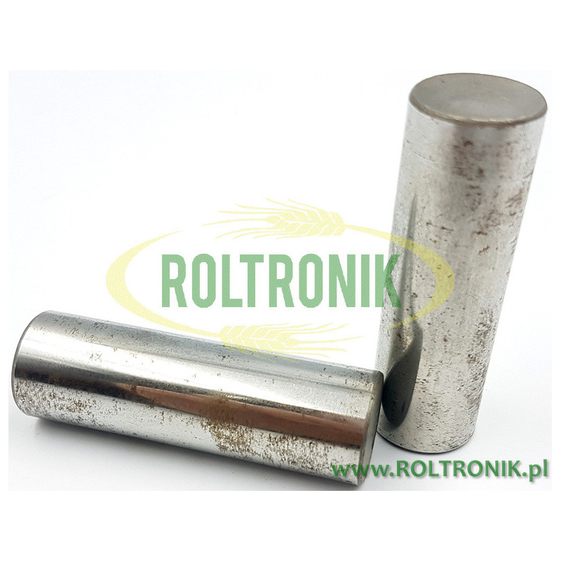 Comet APS 101 - APS 121 Pumpenkolbenbolzen, 30110003