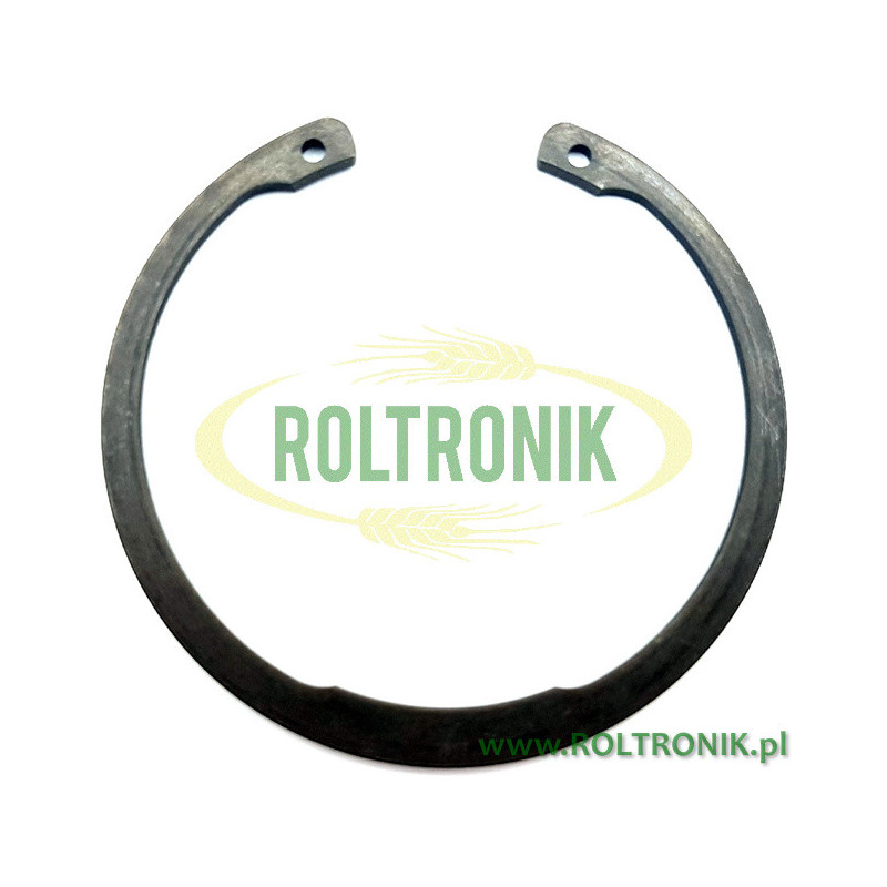 Blanchard PC700 Pumpe 80 Ring, 382371, Renson