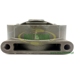 2Bertolini PAS Pumpenkopf