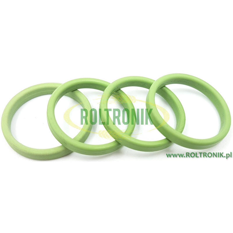 Seletron-Zylinderkopf-Motordichtung, 4246000230V, Arag