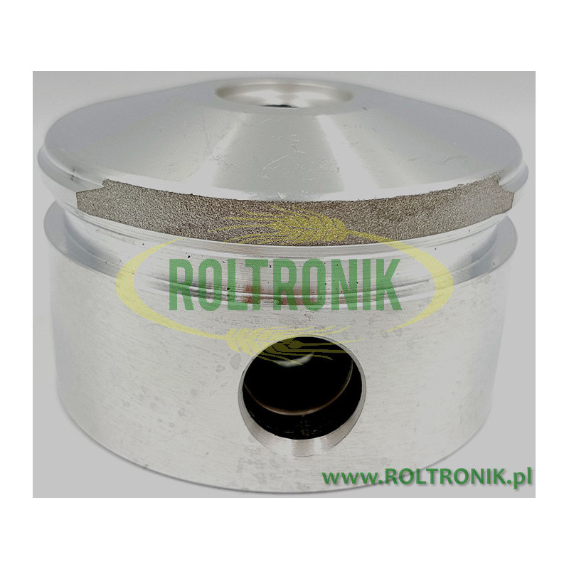 PUMPENKOLBEN IDB/PAS 480028092 BERTOLINI