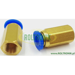 2Gerades Ende 6 mm – 1/8"F