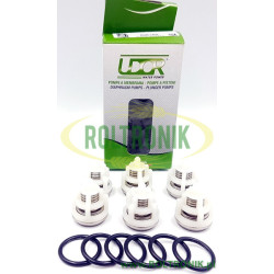 UDOR GSC Pumpenventil-Reparatursatz, 6061B9
