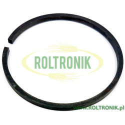 Kolbenring Annovi Reverberi Pumpe 1064, 650190