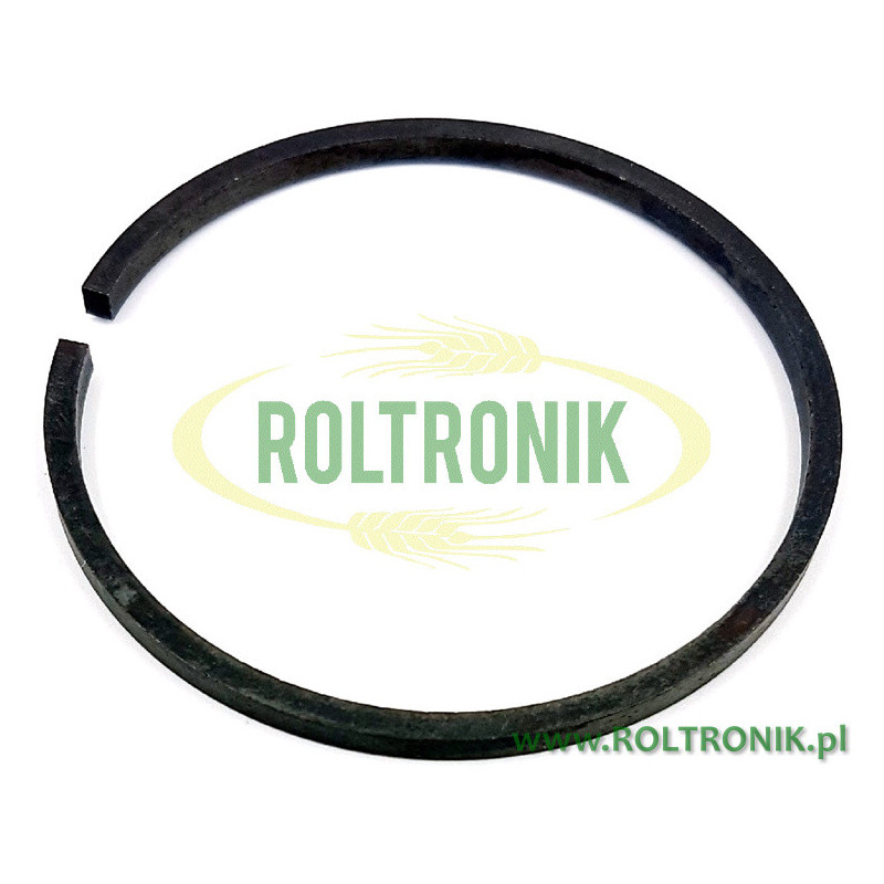 Piston ring Annovi Reverberi pompy 1064, 650190