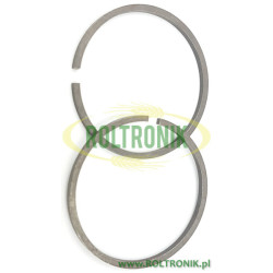 2Piston ring  AR202/AR252 802080 Annovi Reverberi