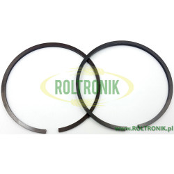 Bertolini POLY Pumpenkolbenring, 81854000