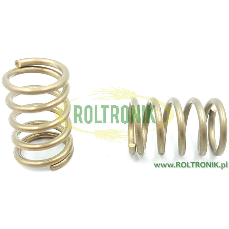 Rau Saugfilterfeder, RG00002603, Kverneland Rau