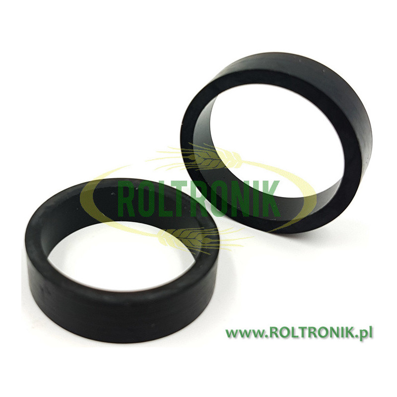 Rau Amazone Pumpenventildichtung RG00002630, Kverneland Rau