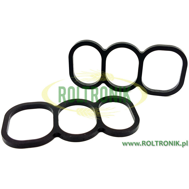 Rau solenoid valve seal, RG00047073, Kverneland Rau