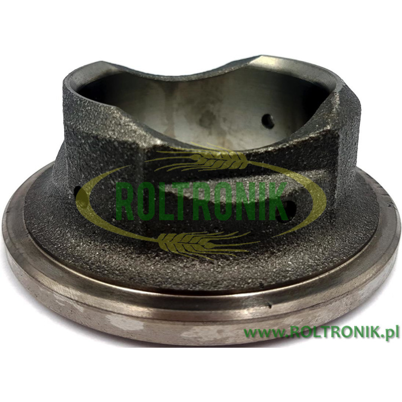 Pumpenkolbenhülse AR813 1500080 Annovi Reverberi