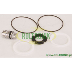 Banjo 2&quot;FP Magnetventil-Reparatursatz, EV25210