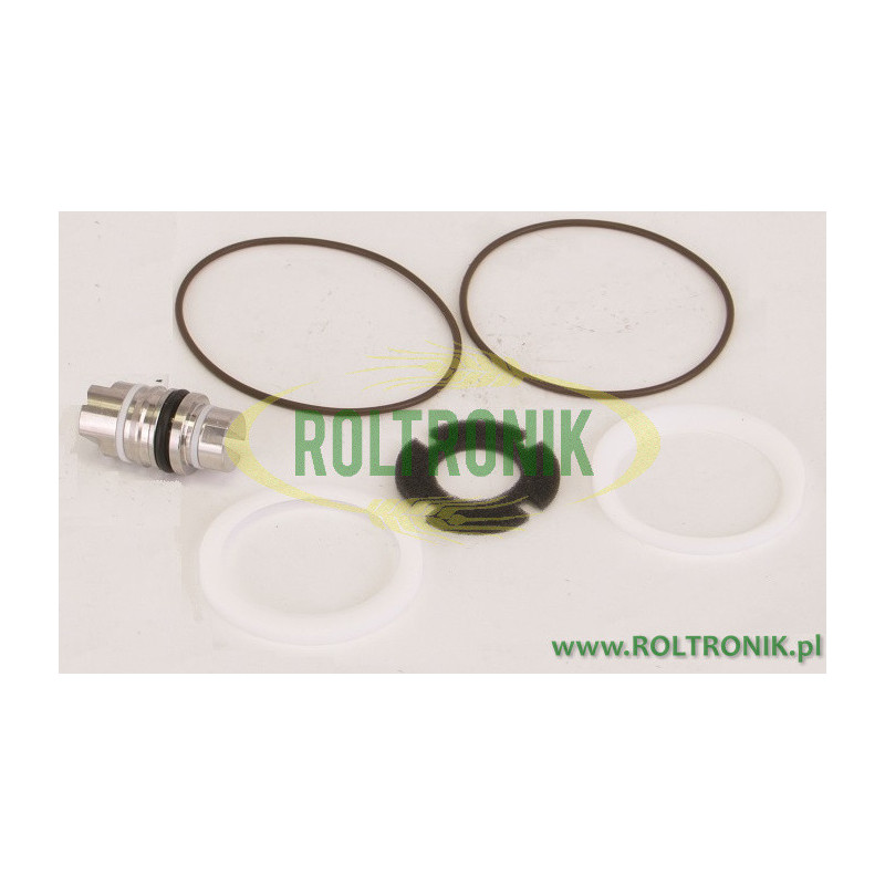 Banjo 2&quot;FP Magnetventil-Reparatursatz, EV25210