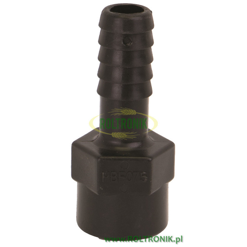 Banjo-Anschlussgewinde 3/4"F D.20, HBF075