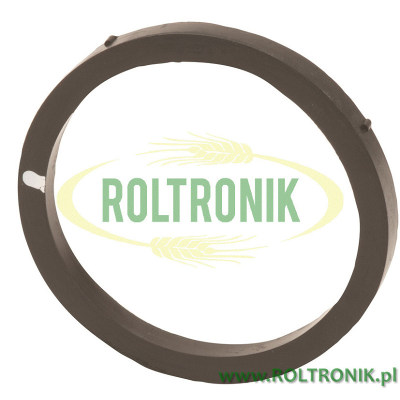 Banjo-Flanschdichtung 2"FP mit EPDM-Bolzen, M221G