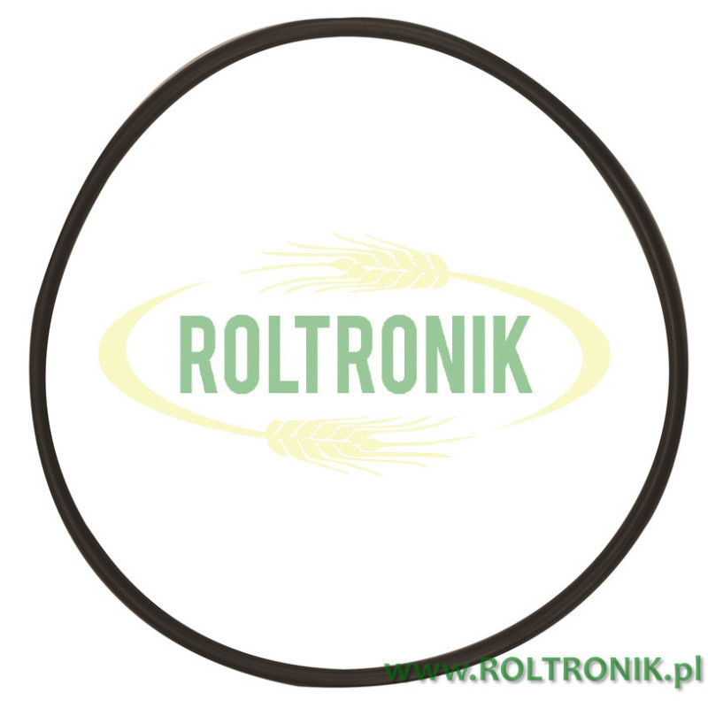 Banjo 3&quot; MLS Filter O-Ring, MLS300G