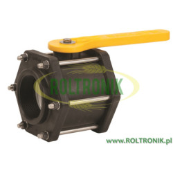 Banjo-Kugelhahn 3&quot;F BSP-Gewinde, V300FPB