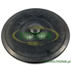 2Pumpenmembran Rau P-102 MB121-2CFW 4A