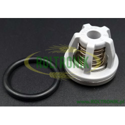 2Zaworek p/zwr pompy Annovi Reverberi BHS