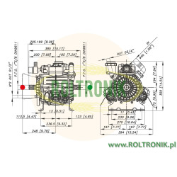 2Bertolni PBO 1250 VD Pumpe