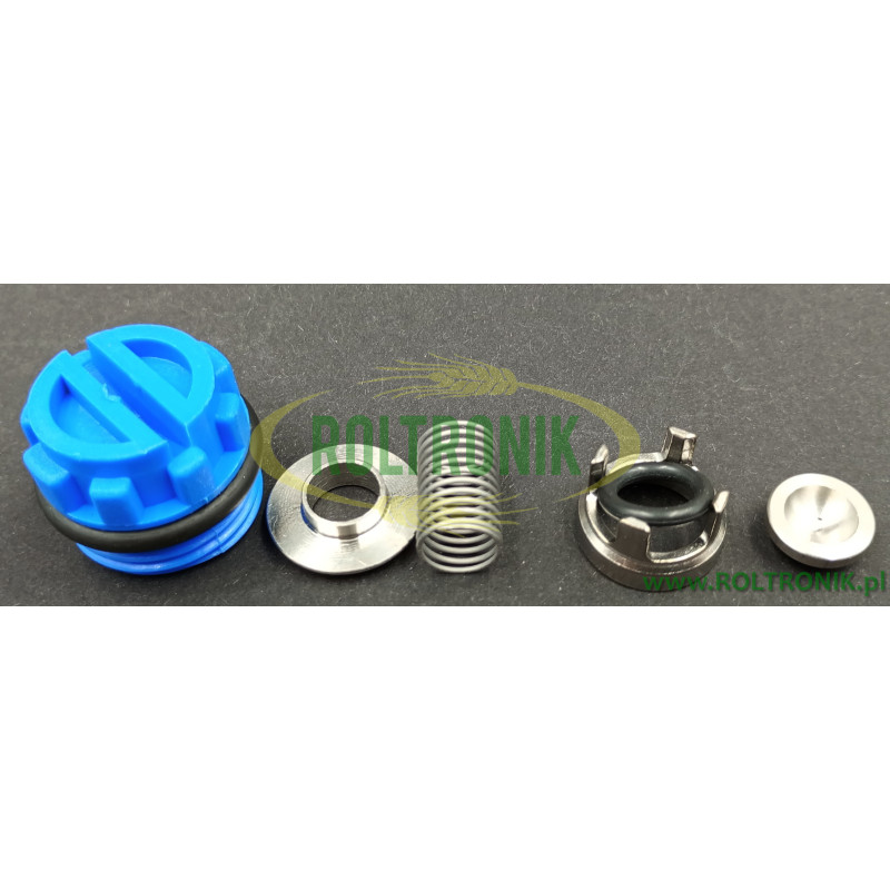 Suct./Delivery Valve Ass.y Kit  MC 8 - MC 18 12200085 Comet