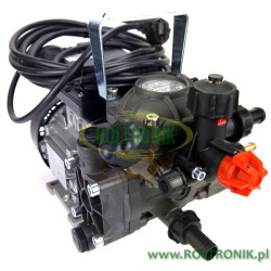 Motopompa z silnikiem elektrycznym AR 202, 32175, Annovi Reverberi